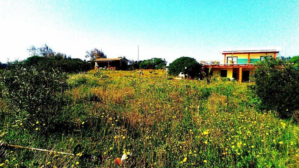 Eco Affittacamere Casa Maica Eco Guesthouse Stintino Kültér fotó